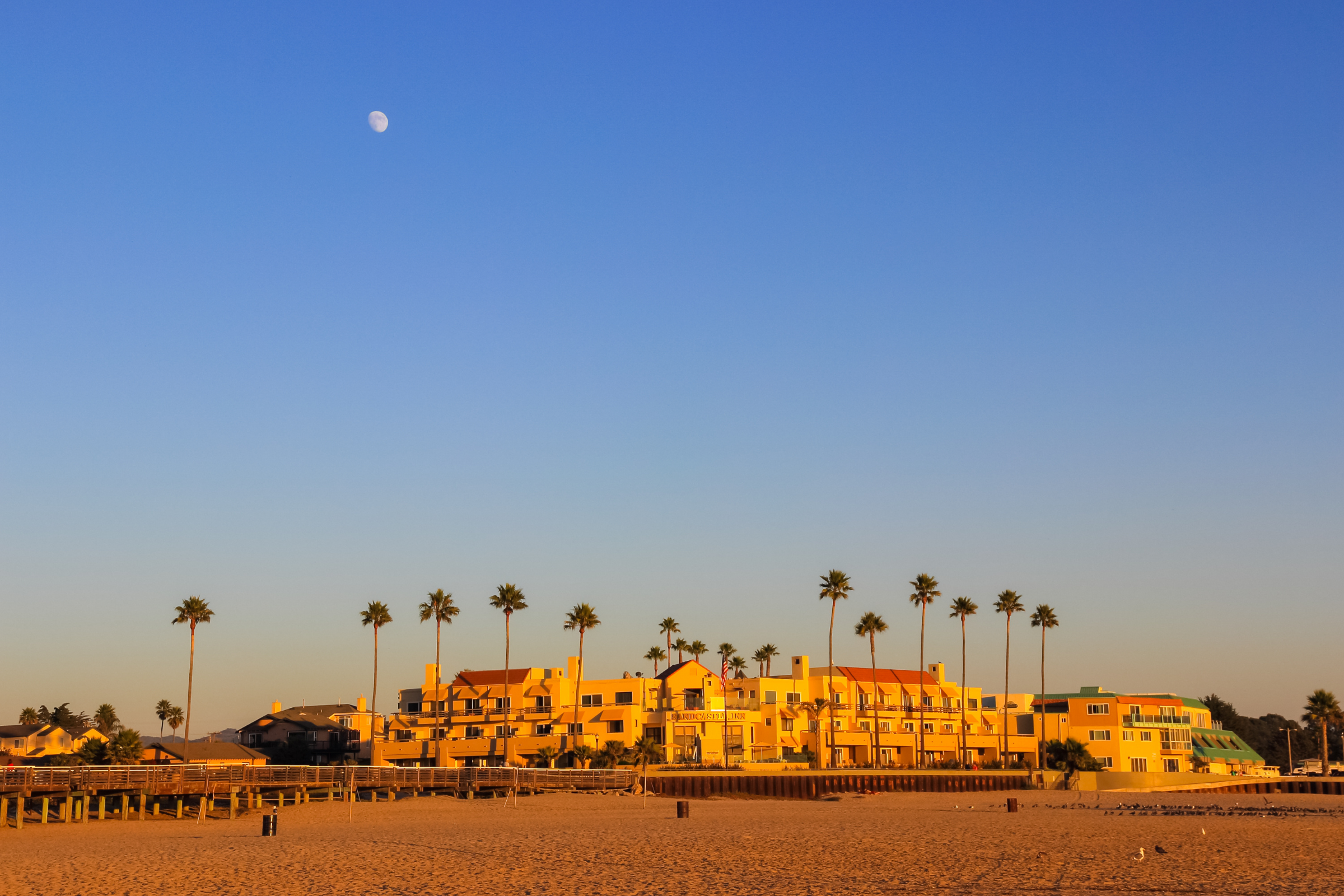 pismo beach, california (3).webp